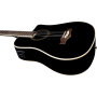 EKO NXT B100CWE See Through Black